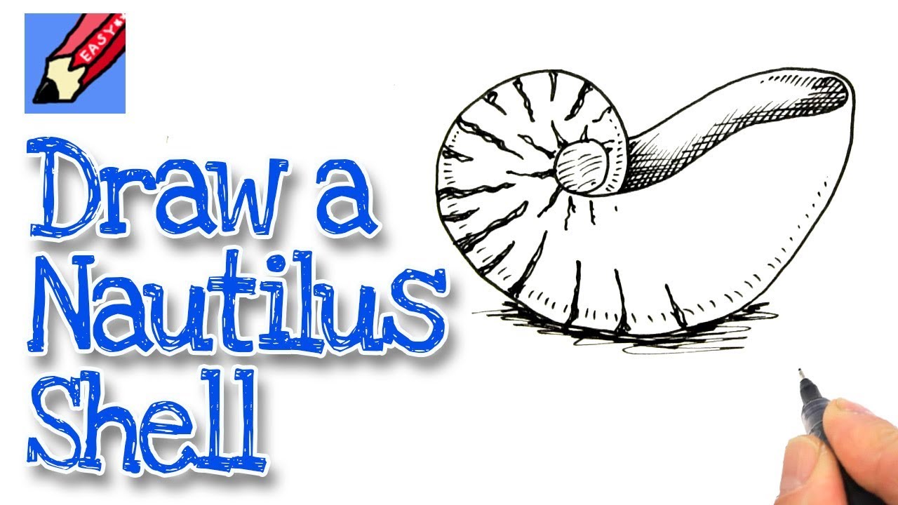 1280x720 How To Draw A Nautilus Shell Real Easy - Nautilus Drawing
