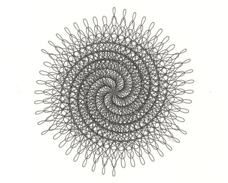 794x635 hand drawn spiral line drawing black nautilus art an etsy - Nautilus Line Drawing