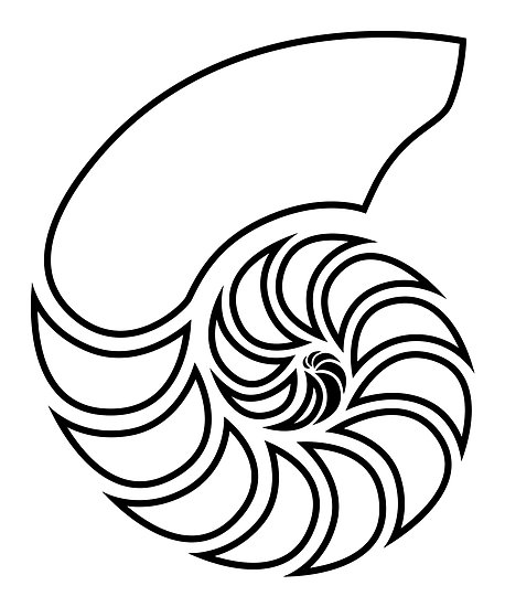 458x550 nautilus outline posters - Nautilus Line Drawing