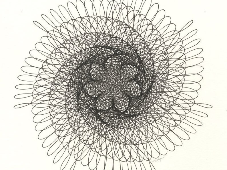 794x596 nautilus spiral original ink drawing golden ratio sacred etsy - Nautilus Line Drawing