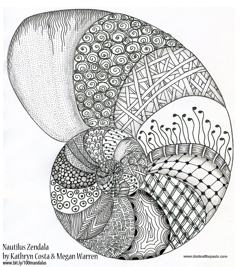 800x871 nautilus zen doodle mandala how to draw mandalas - Nautilus Line Drawing