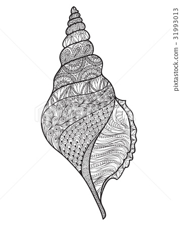 357x450 seashell line art marine life nautilus summer sign - Nautilus Line Drawing