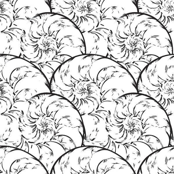 600x600 wave spiral seamless pattern seashell nautilus ocean texture - Nautilus Line Drawing