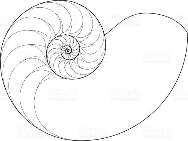 Diagram Silicon Shell Diagram Full Version Hd Quality Shell Diagram Databasegadgets Scarpedacalcionikescontate It