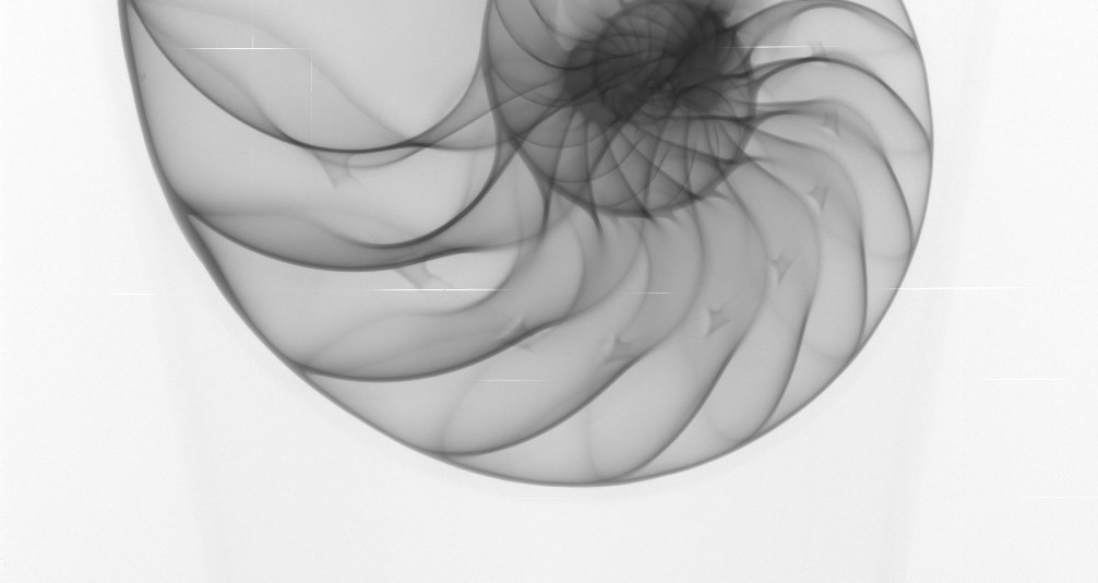 1006x534 micro ct of nautilus shell using the bruker skyscan micro - Nautilus Shell Drawing