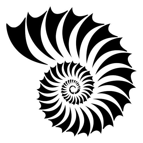 500x501 nautilus shell stencil - Nautilus Shell Drawing