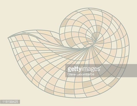 473x365 stylized drawing of a nautilus shell premium clipart - Nautilus Shell Drawing