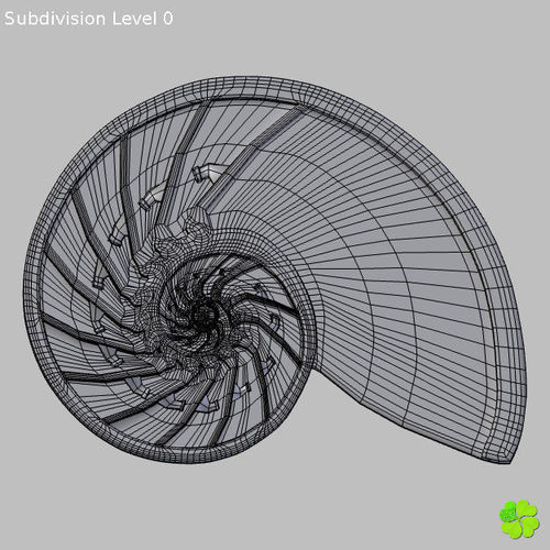 500x500 model nautilus shell metal sculpture low poly - Nautilus Shell Drawing