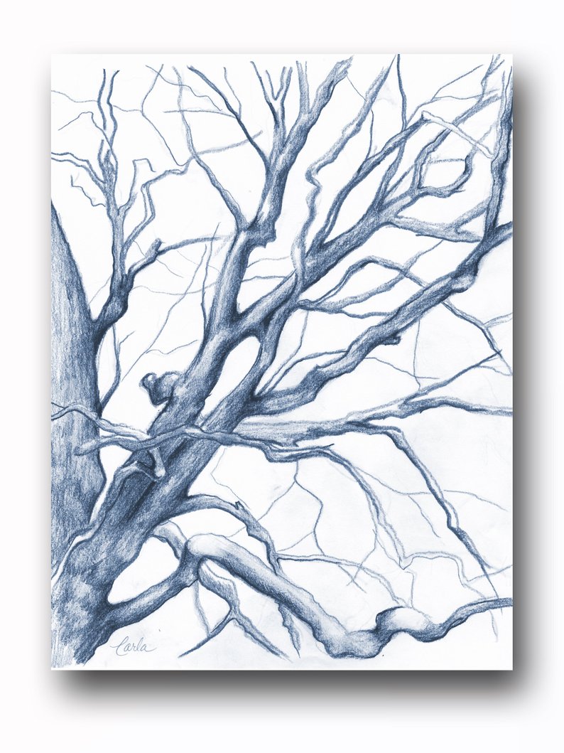 794x1059 navy blue illustration print charcoal drawing of branches etsy - Navy Drawings