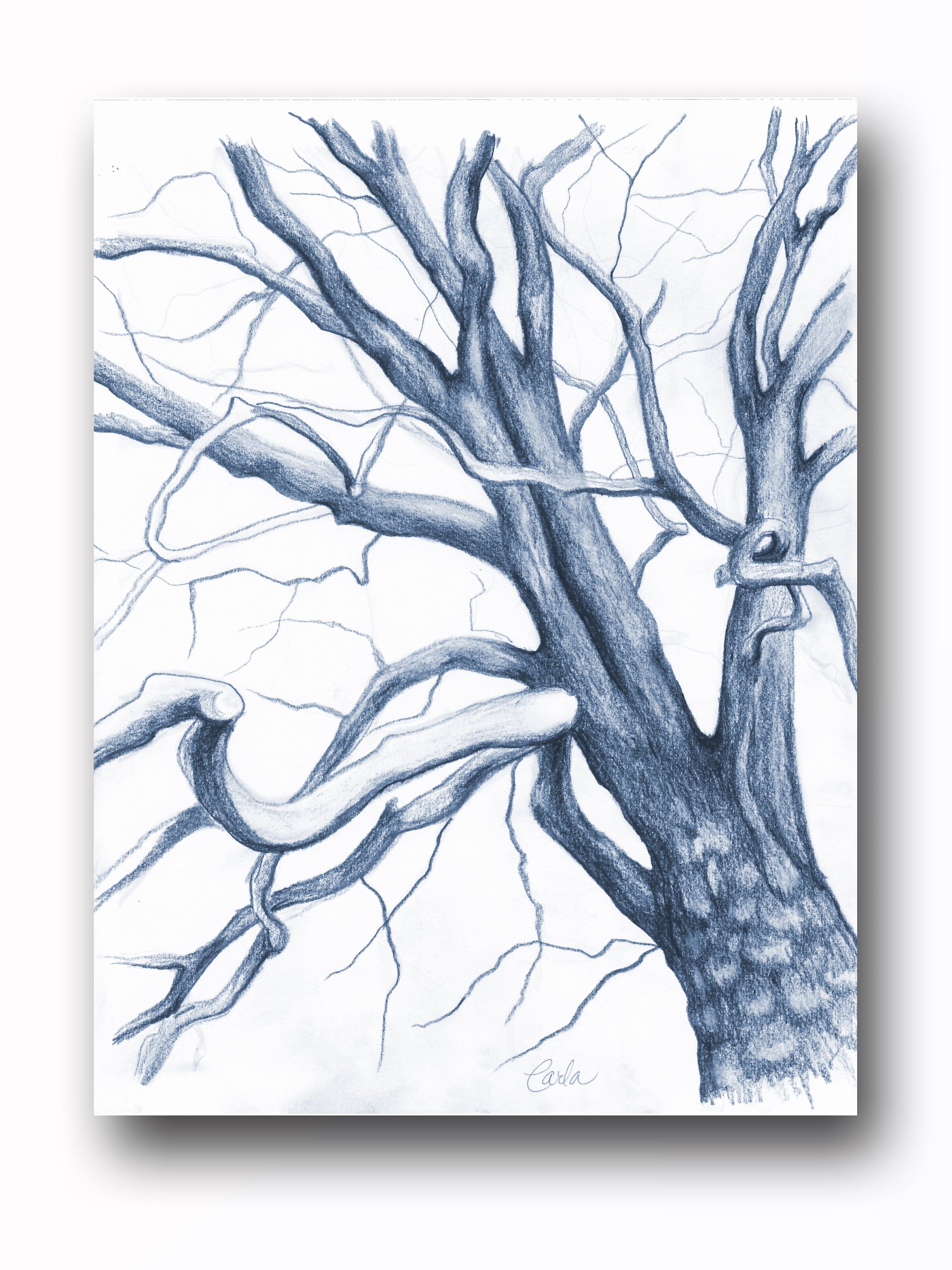 2250x3000 navy blue tree branches charcoal drawing botanical wall art etsy - Navy Drawings