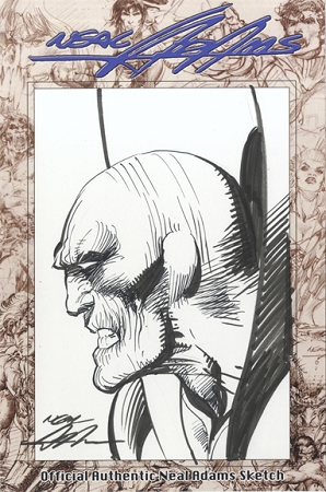 298x450 original neal adams deadman bust - Neal Adams Drawing