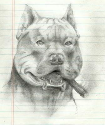 335x400 neat drawings - Neat Drawings