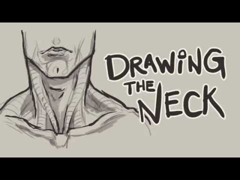 480x360 helpful tips for drawing the neck - Neck Drawing