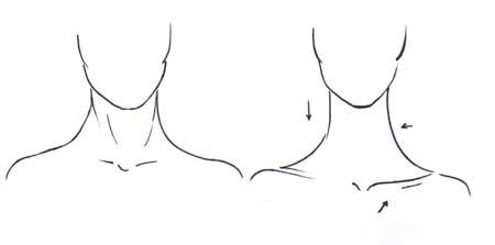 450x223 normal vs fashion body i draw fashion - Neck Drawing