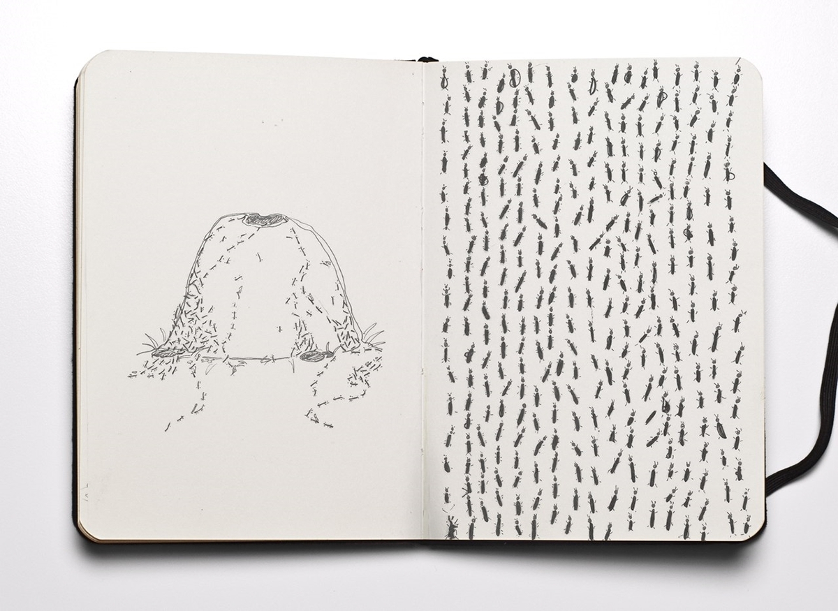 1200x875 doodling with a needle and thread doodlers anonymous - Needle And Thread Drawing