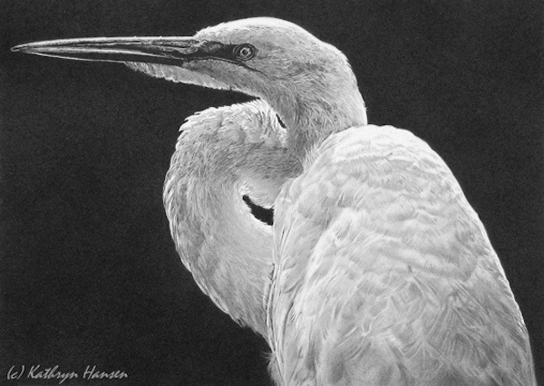 600x426 helpful negative drawing tips revealed - Negative Drawing