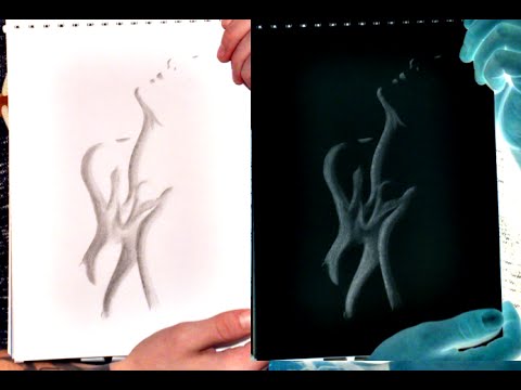 480x360 negative drawing vision of beauty - Negative Drawing