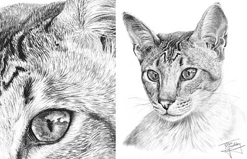 500x323 Basic Class - Negative Drawing