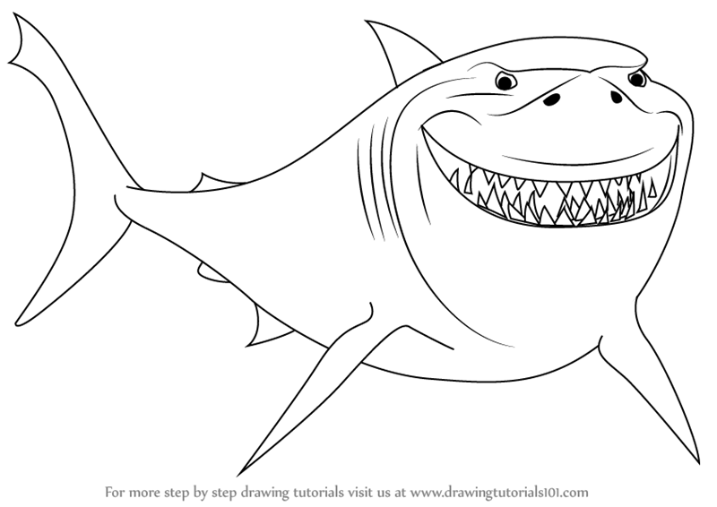 800x566 learn how to draw bruce from finding nemo - Nemo Cartoon Drawing