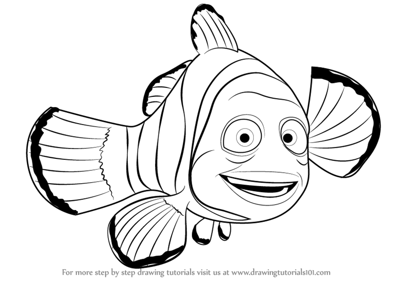 800x566 learn how to draw marlin from finding nemo - Nemo Cartoon Drawing