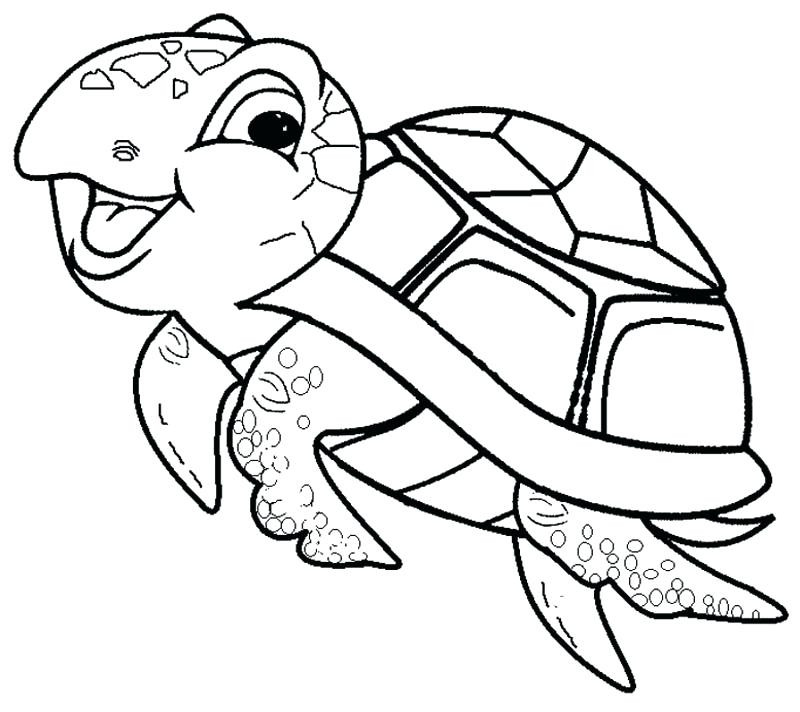 800x712 Sea Turtle Coloring - Nemo Cartoon Drawing