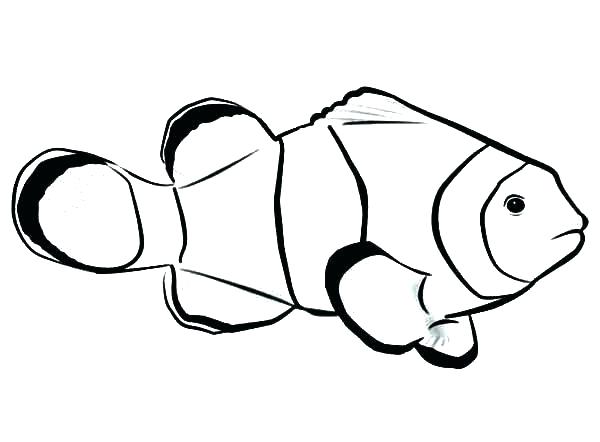 600x442 Finding Nemo Fish Tank Coloring Pages Clown - Nemo Fish Drawing