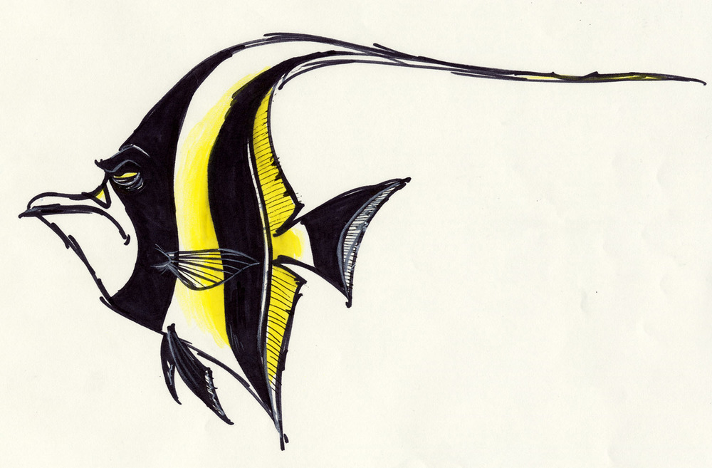 1000x657 Pixar Animation Studios - Nemo Fish Drawing