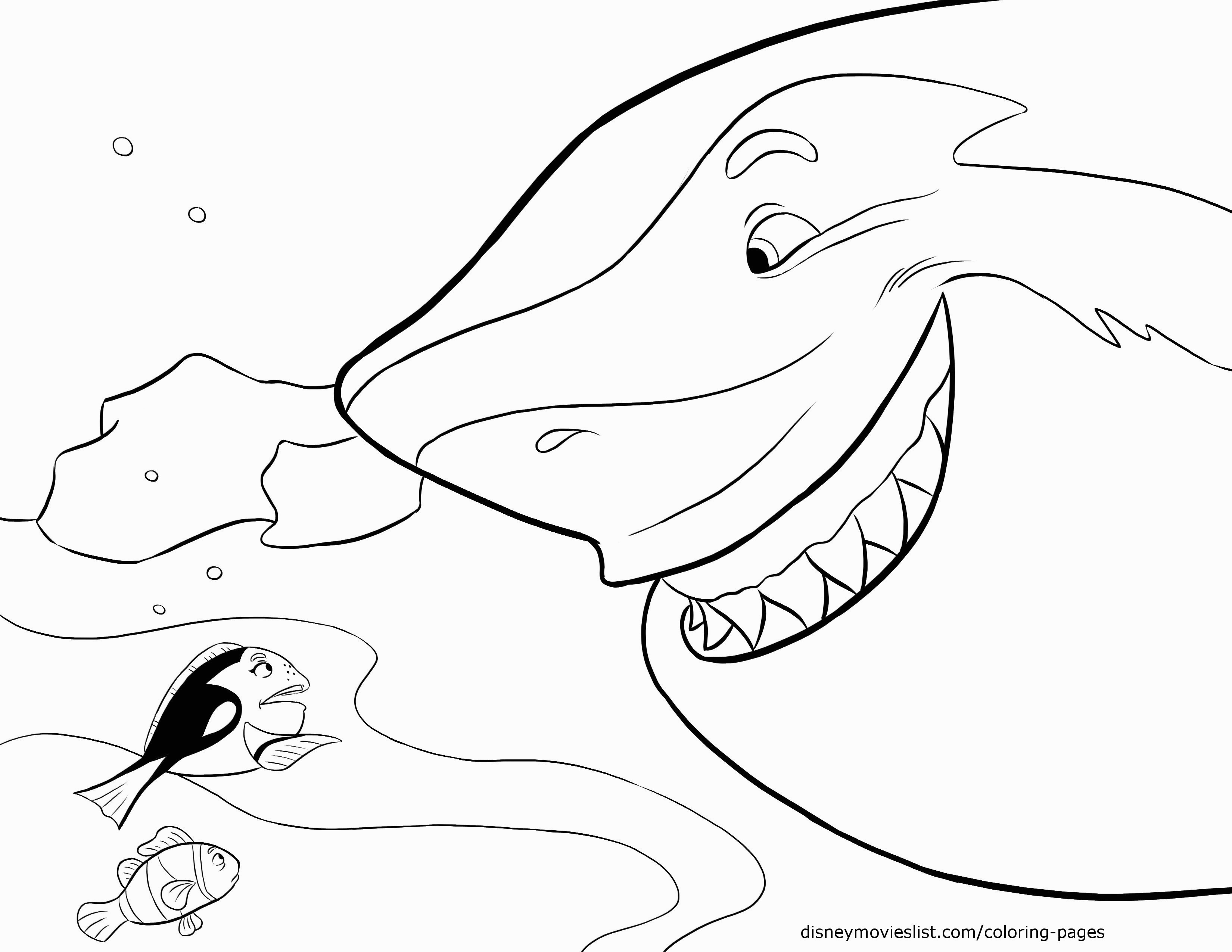 3300x2550 Finding Nemo Shark Coloring Pages Great Free Clipart, Silhouette - Nemo Outline Drawing