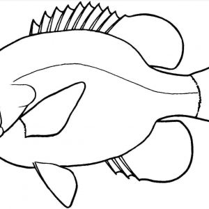300x300 Save Nemo Drawing - Nemo Outline Drawing