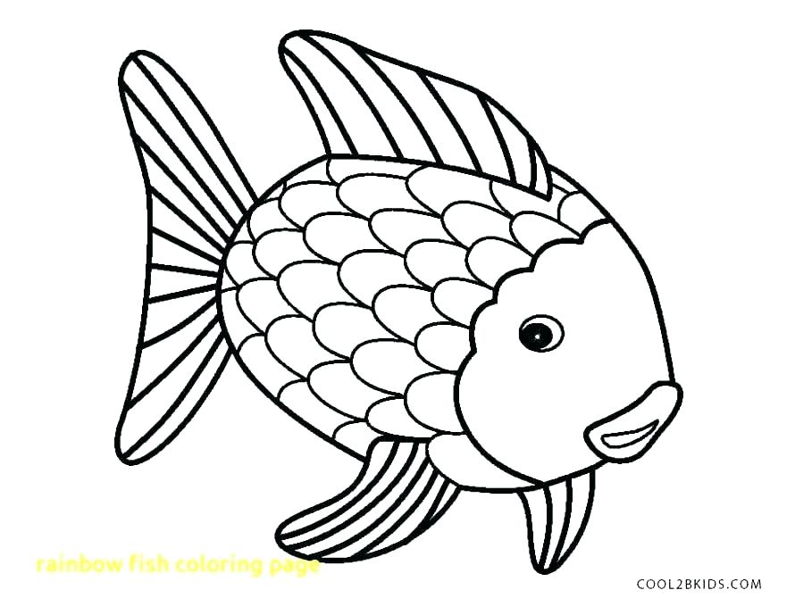 890x689 School Of Fish Coloring - Nemo Outline Drawing