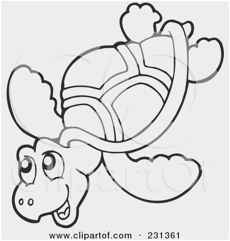 450x470 Snapping Turtle Coloring - Nemo Outline Drawing