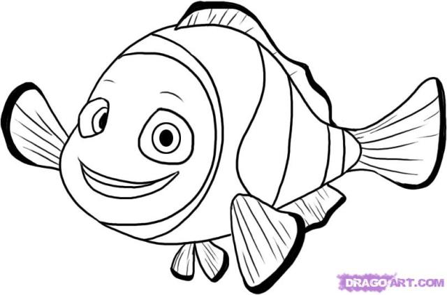 640x422  - Nemo Outline Drawing