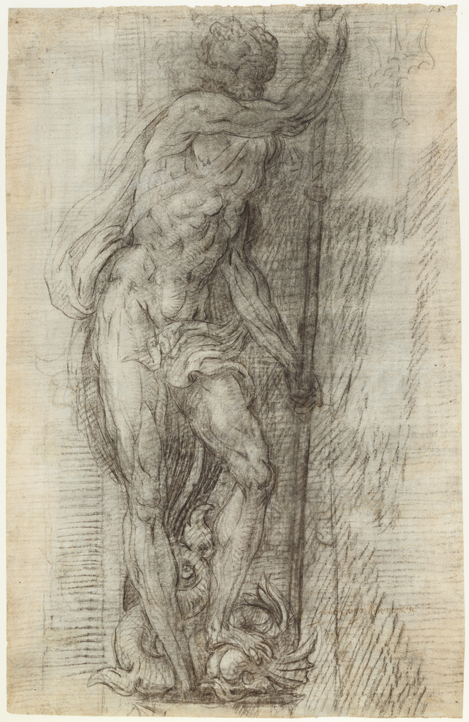 666x1024 Neptune - Neptune Drawing