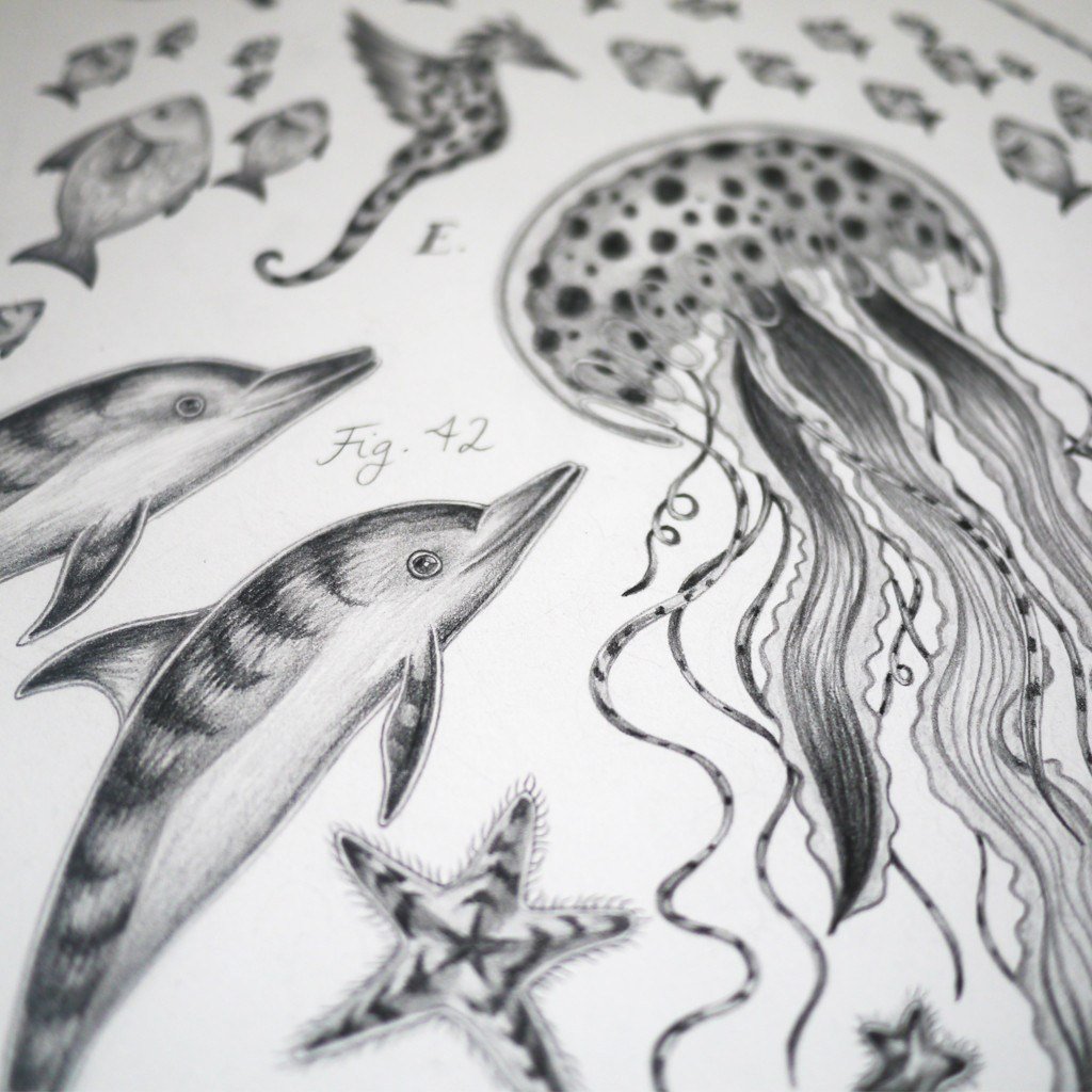 1024x1024 Neptune Silk Skinny Scarf Emma J Shipley - Neptune Drawing