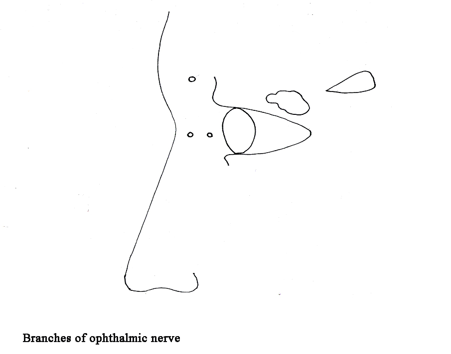 905x712 empty diagrams for drawing - Nerve Drawing