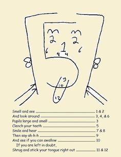236x306 interesting drawing of the cranial nerves nurse stuff - Nerve Drawing