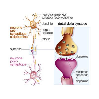400x400 nerve impulse, drawing giclee print - Nerve Drawing