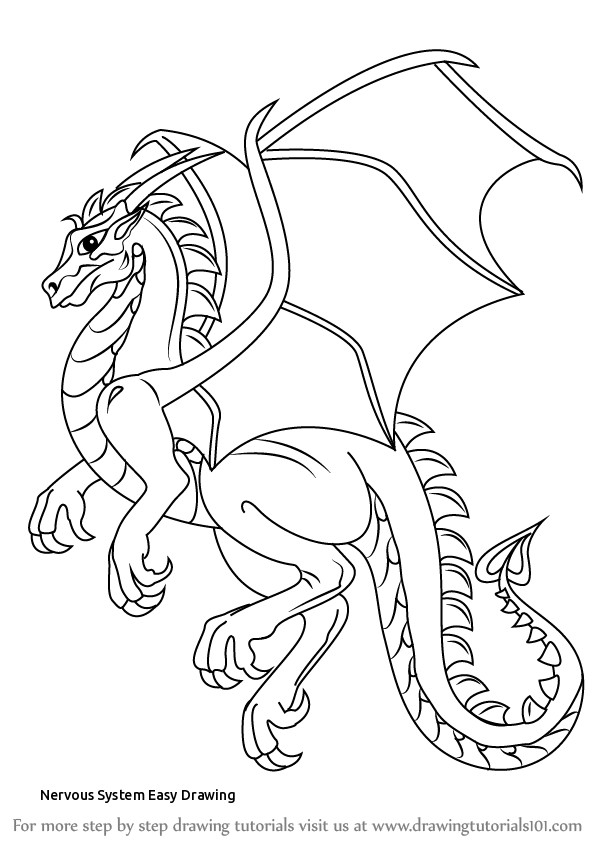 592x844 nervous system easy drawing tutorials step - Nervous System Drawing