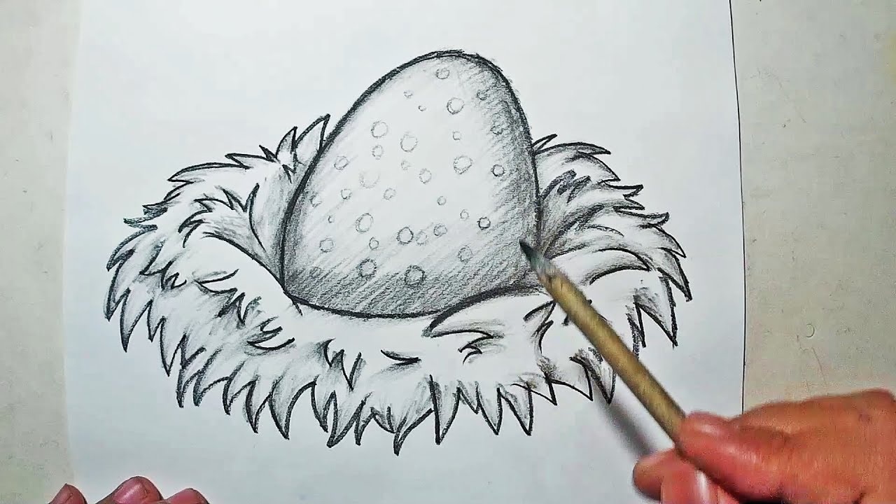 1280x720 how to draw a bird nest and egg drawing sketching - Nest Drawing