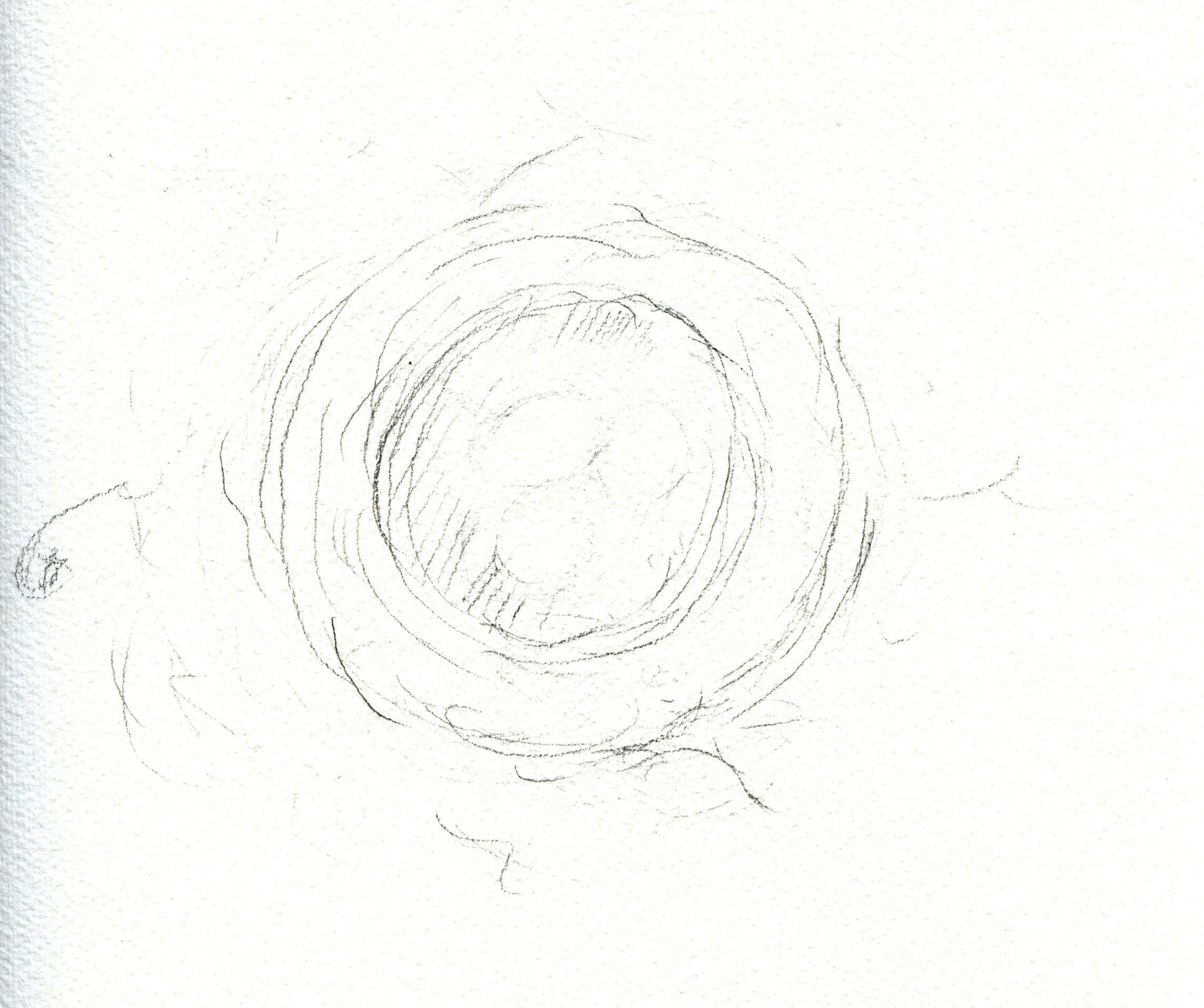 2286x1914 How To Draw A Bird's Nest And Add Color - Nest Drawing