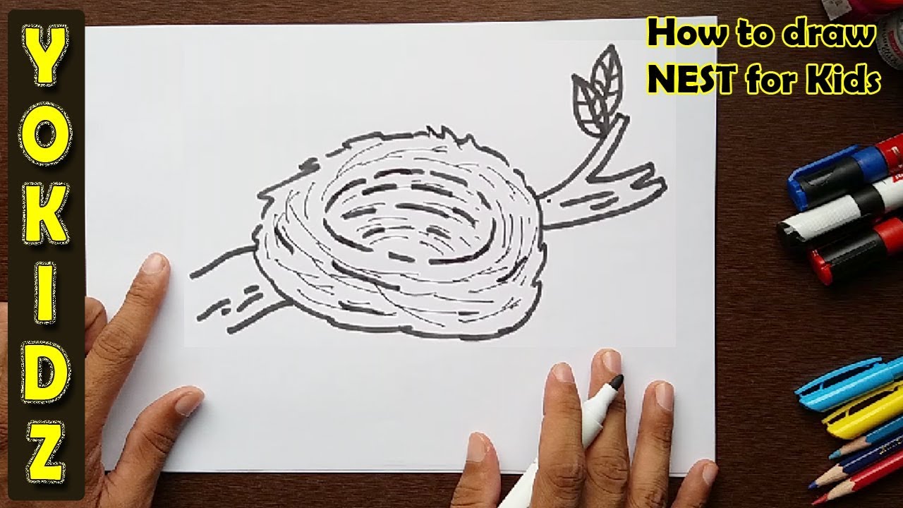 1280x720 How To Draw A Nest For Kids - Nest Drawing