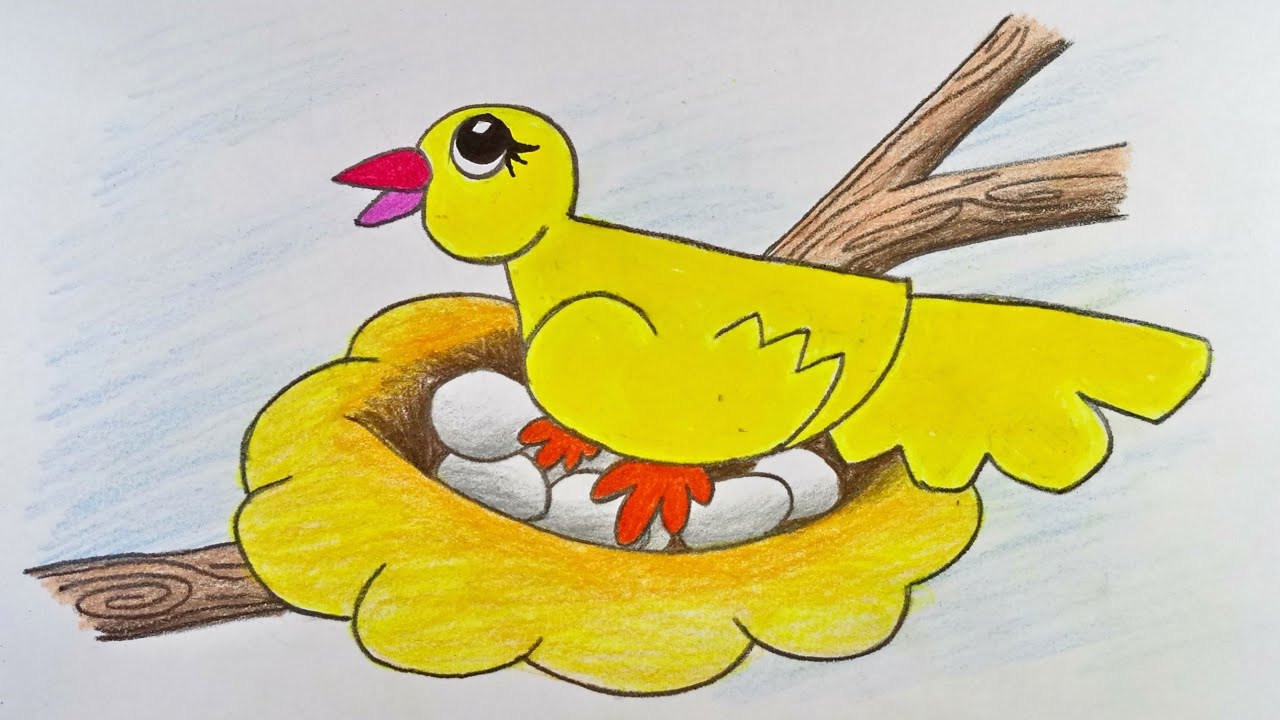 1280x720 How To Draw Bird And Nest Step - Nest Drawing