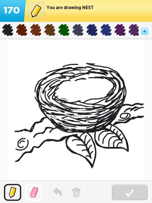 500x667 Nest Drawings - Nest Drawing