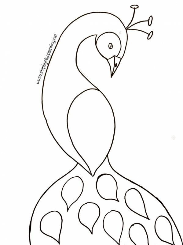 599x800 Free Traceables - Net Drawing