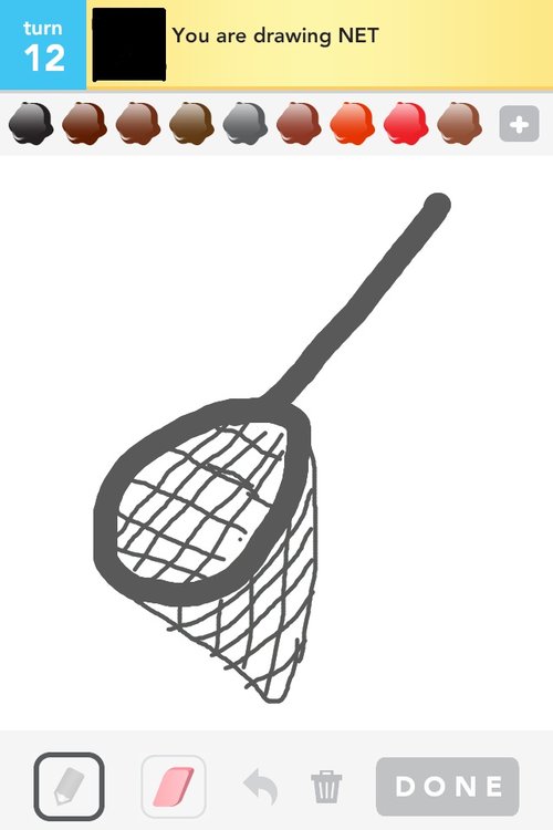 500x750 net drawings - Net Drawing