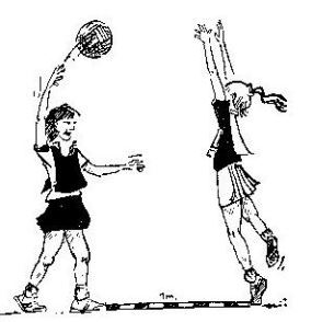 284x294 Mna Home - Netball Drawing