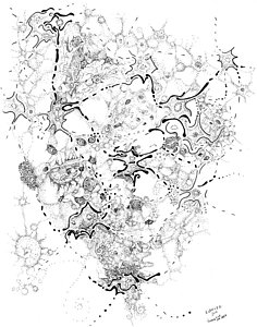 236x300 Neuron Drawings Fine Art America - Neuron Drawing