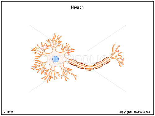 500x375 neuron illustrations - Neuron Drawing