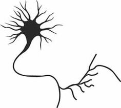 236x211 Best Tattoos Images Science Tattoos, Neurons, Arm Tattoo - Neuron Drawing