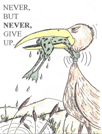 350x460 fluoride action network frog cartoon - Never Give Up Drawing Frog Bird